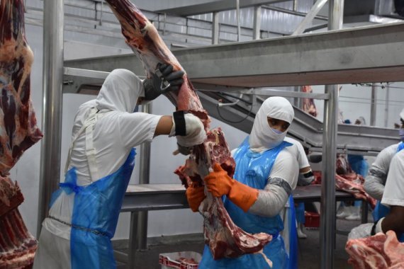 carne-exportacao_widelg