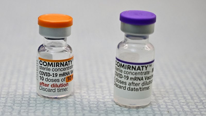 pfizer-vacina_widelg