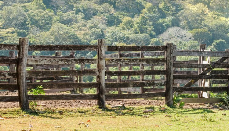 fazenda_widelg