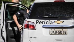 periciaha_29_widelg
