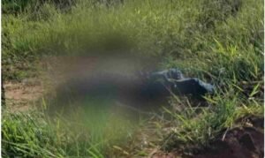 Captura de tela 2022-05-21 112142