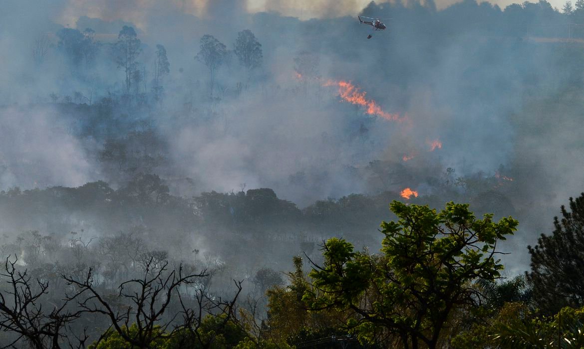 930018-incendio_queimada_8