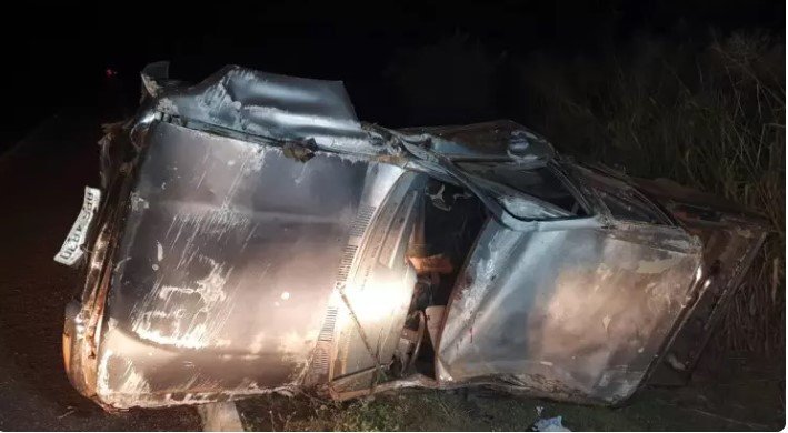 Duas pessoas ficam feridas em colisão de caminhonete com anta na BR-359