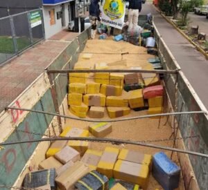 Captura de tela 2022-06-11 172946