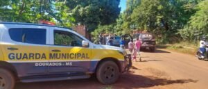 Captura de tela 2022-06-12 163643