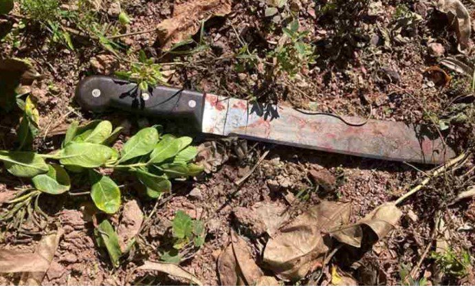 Idosa de 70 anos é esfaqueada em tentativa de latrocínio em casa e tem mão amputada