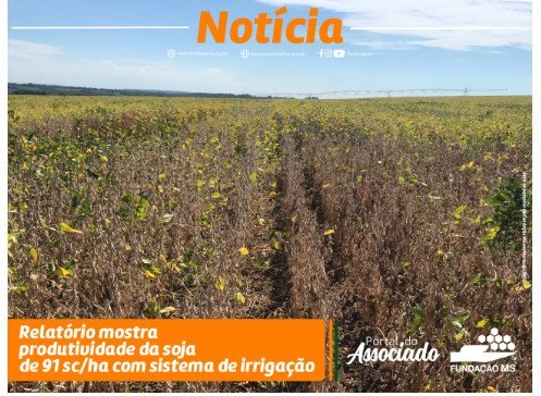 Captura de tela 2022-06-24 140015