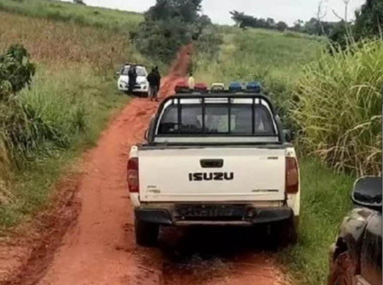 Captura de tela 2022-06-28 211533