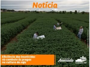 Captura de tela 2022-06-29 132114
