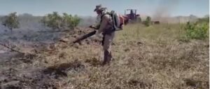 Captura de tela 2022-07-13 201836