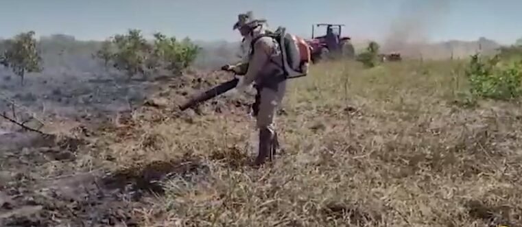 Fogo atinge Pantanal em Porto Murtinho e destrói cerca de 12 mil hectares