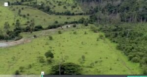 Captura de tela 2022-07-24 182146