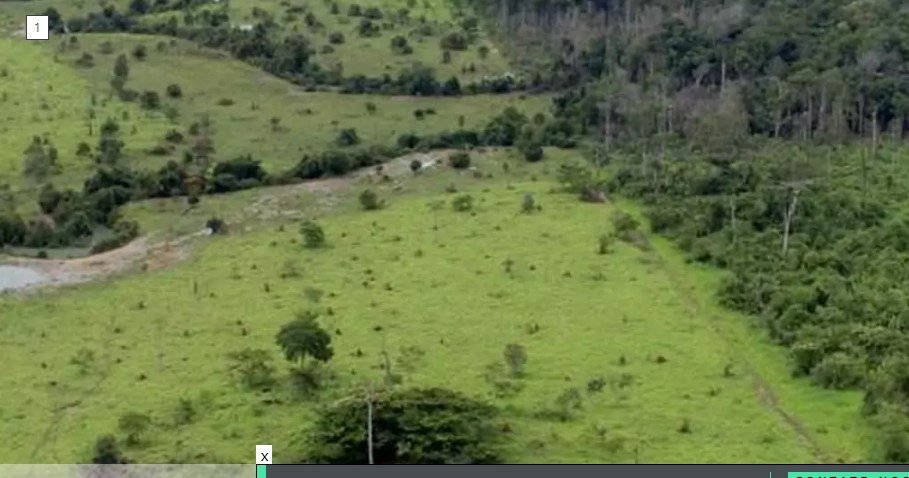 Captura de tela 2022-07-24 182146