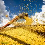 MS já vendeu 90% da soja cultivada e preço da saca avança 15%