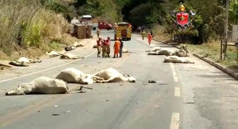Captura de tela 2022-08-27 185127