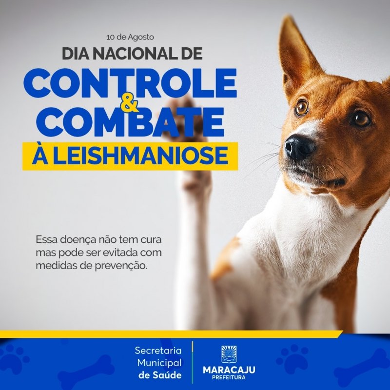 d431287af9e687e18823df57ac5481ab