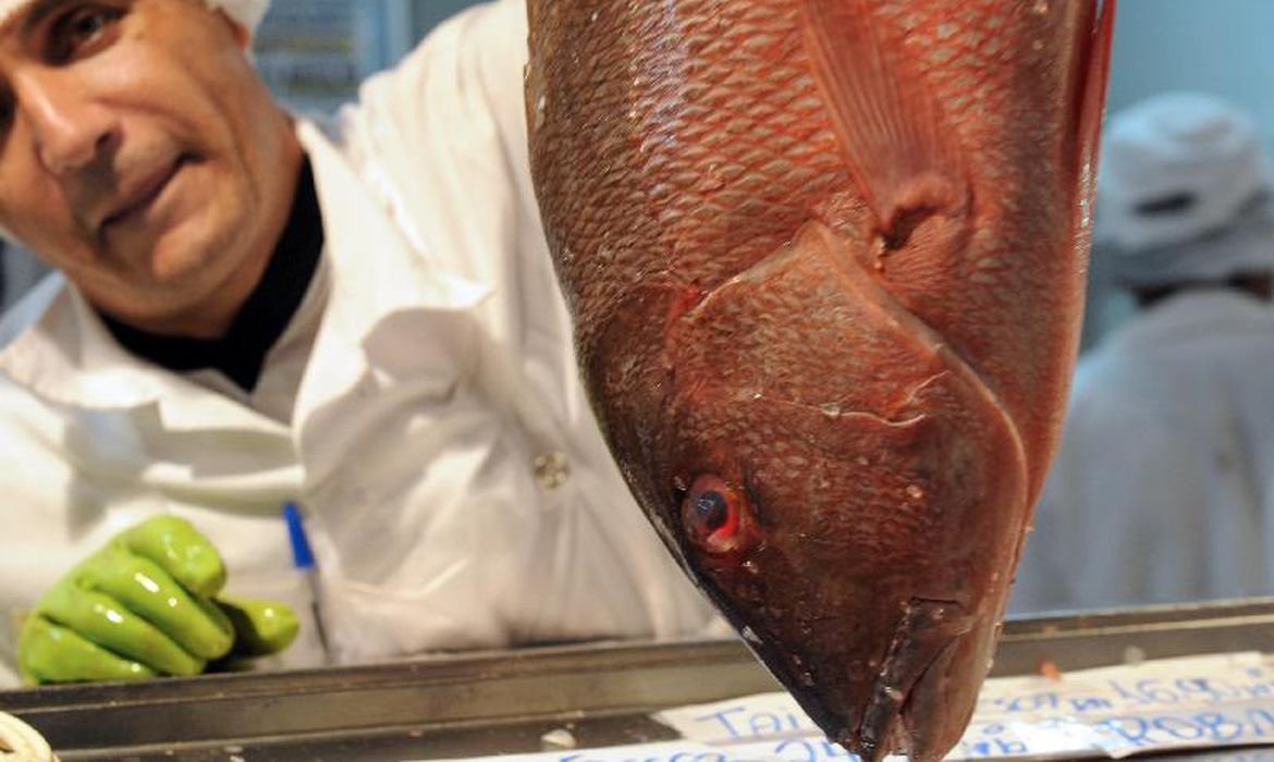 peixe