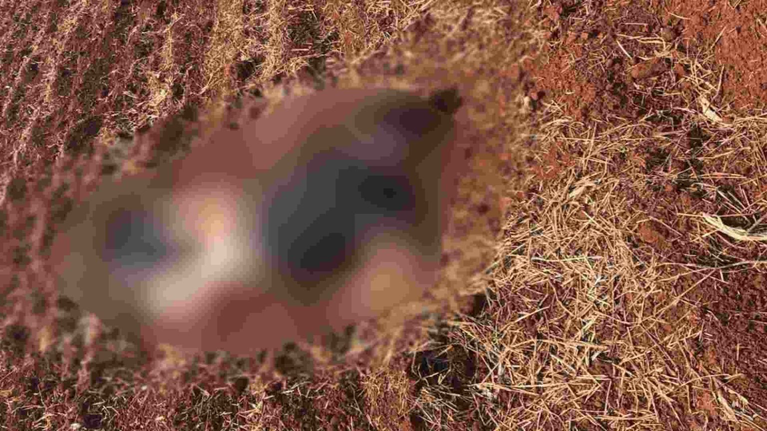 morto-fronteira-1536x864