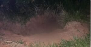 Captura de tela 2022-10-22 220943