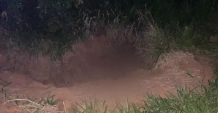 Criança encontra corpo carbonizado dentro de vala em Três Lagoas