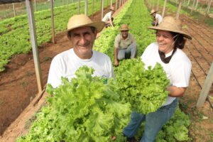 agricultura-familiar_2022-10-26-183619_ksbe
