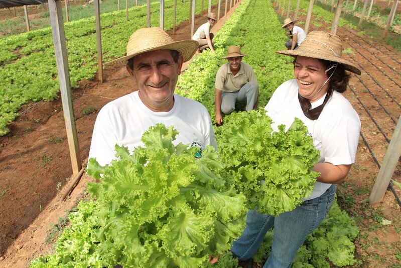 agricultura-familiar_2022-10-26-183619_ksbe