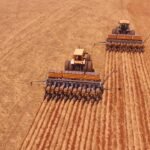 Quase 100% concluída, colheita do milho alcança 2,194 milhões de hectares.