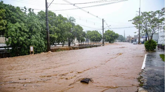 Captura de tela 2023-01-05 152302