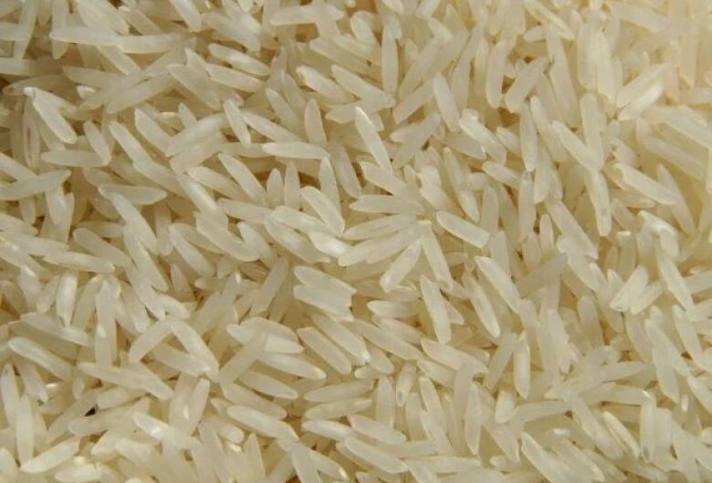 arrozcanalruralreproducao