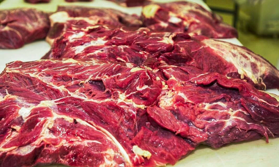 Carne fresca,Açougues, Frigoríficos, alimento