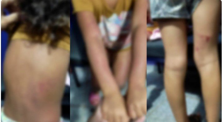 Captura de tela 2023-03-07 152252