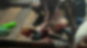 Captura de tela 2023-04-16 100009