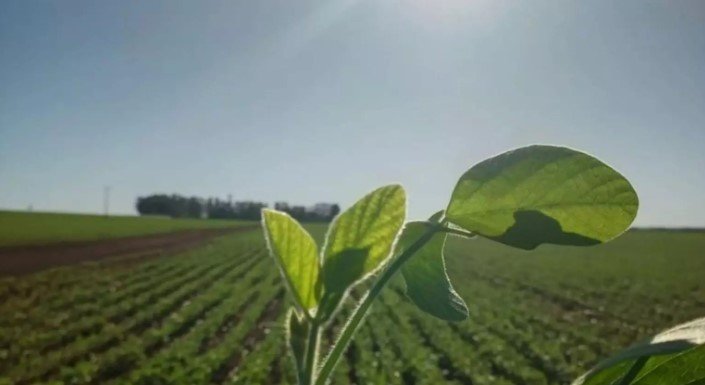 Captura de tela 2023-04-24 121421
