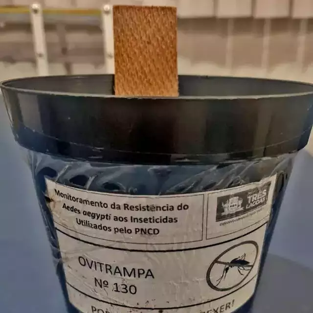 1jaxg1yp8l2hi