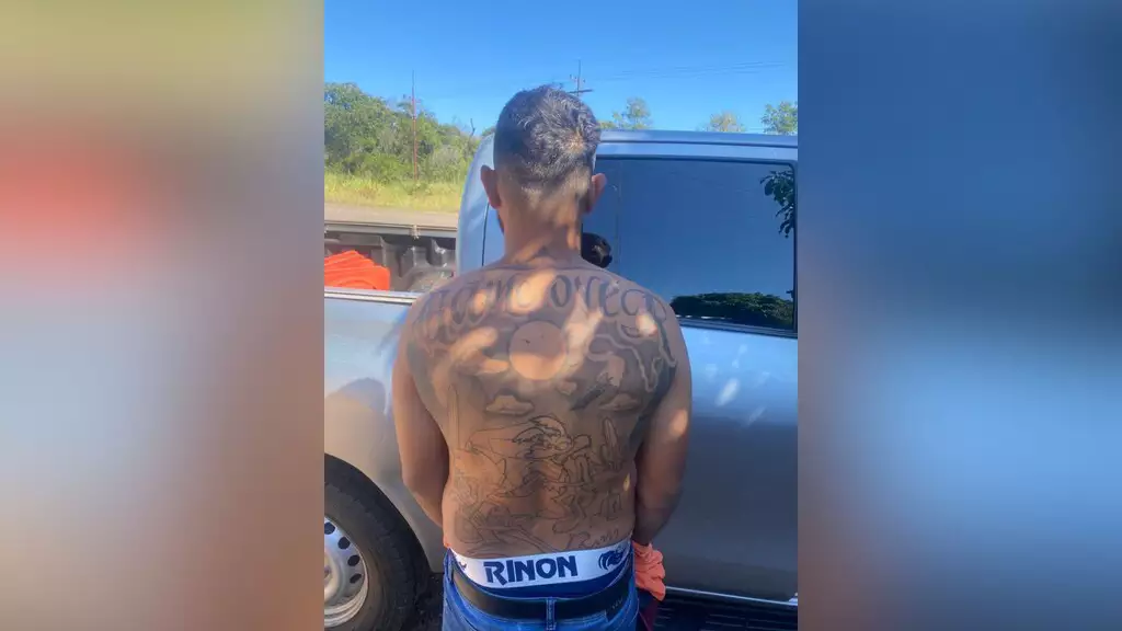 2nzlff9ajeasg
