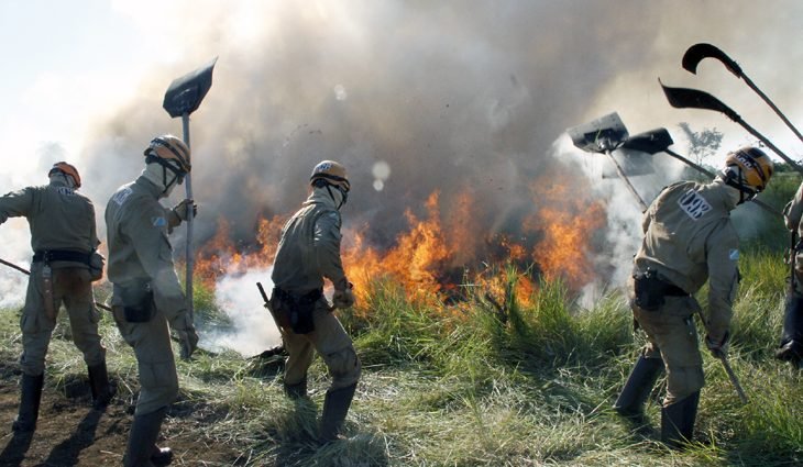 Treinamento-dos-bombeiros-no-combate-ao-incêndio-Florestal-Foto-Edemir-Rodrigues-730x425