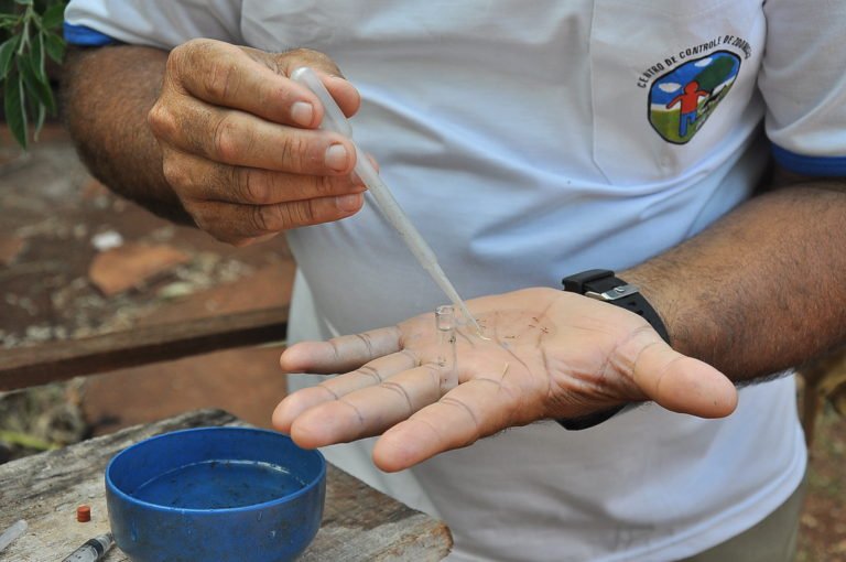 dengue_-1-768x510-1