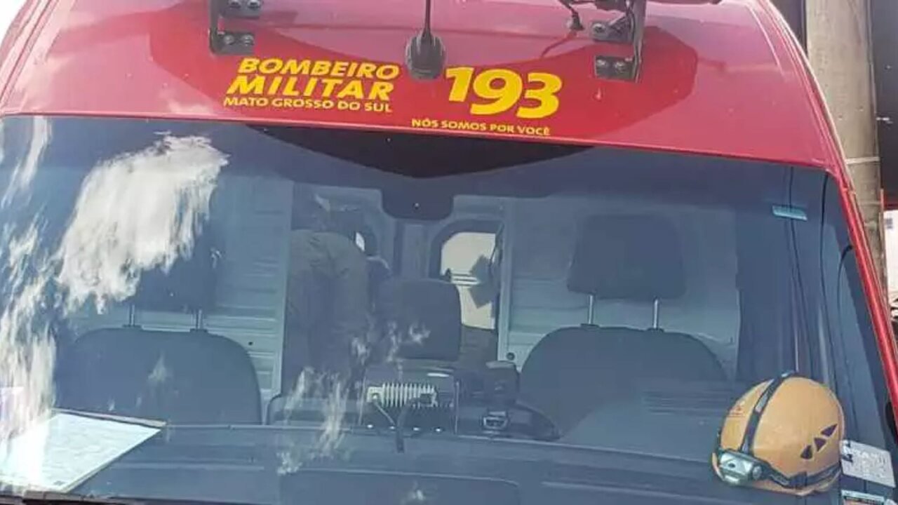 ursa-corpo-de-bombeiros