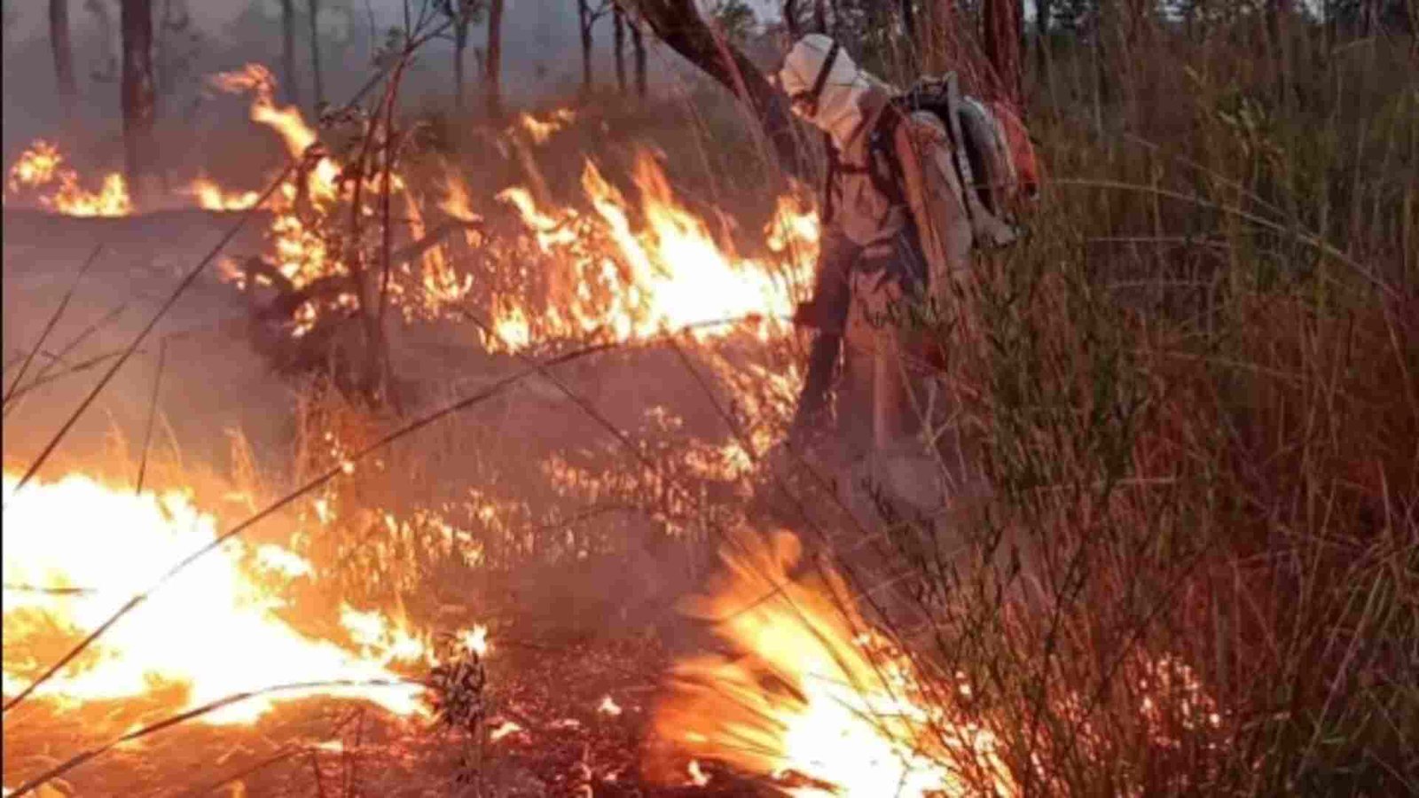 Combate-Incendios