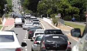 Transito-Foto-Saul-Schramm-768x425-730x425-1