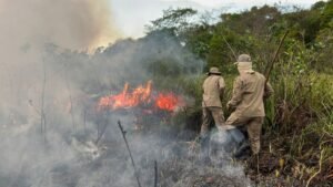 Fogo-no-Pantanal