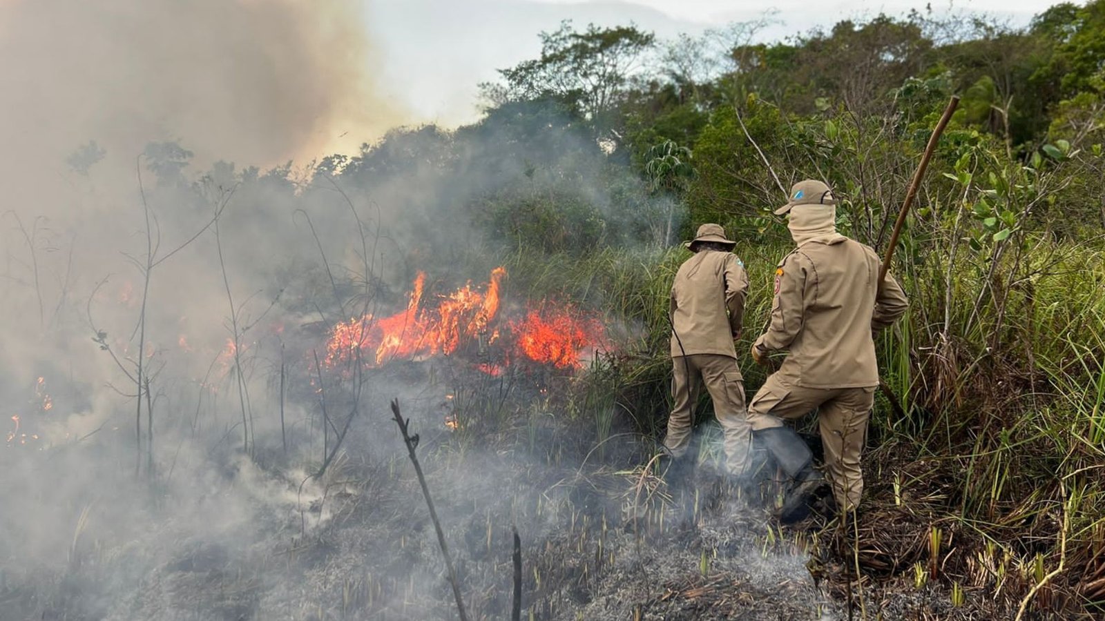 Fogo-no-Pantanal