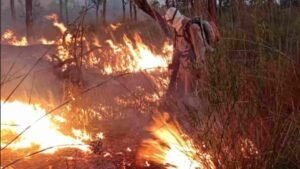 Combate-Incendios