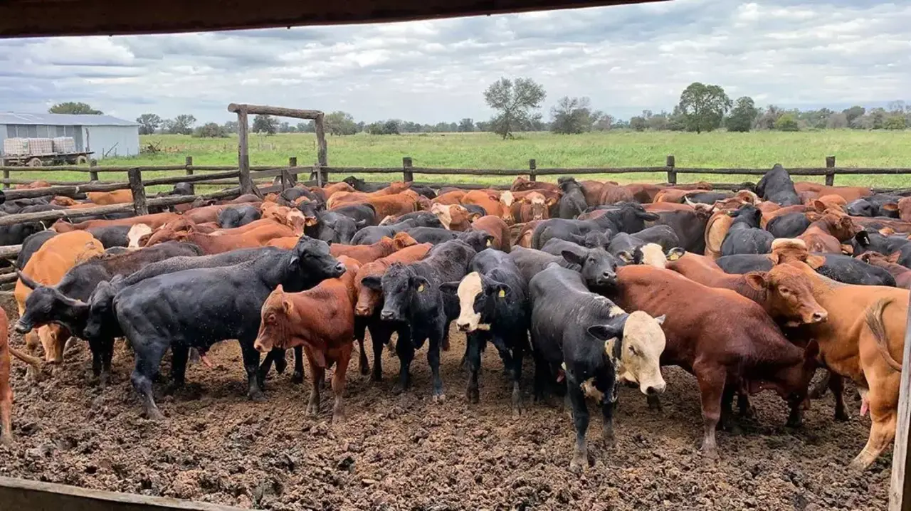 Carne-paraguaia-3-1
