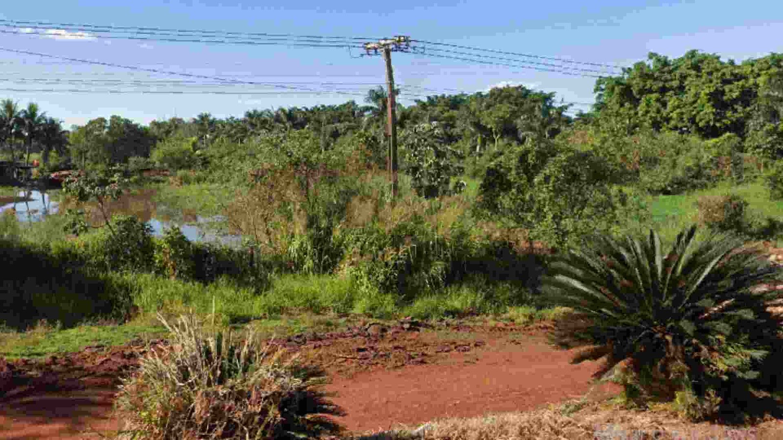 Design-sem-nome-2023-11-14T152