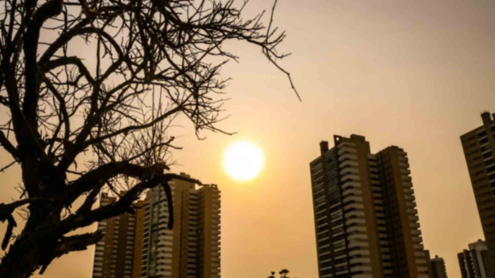 Tempo-calor-sol-campo-grande-ms_Nathalia-Alcantara-Midiamax