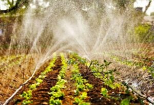 agricultura-familiar-semadesc-7-730x480