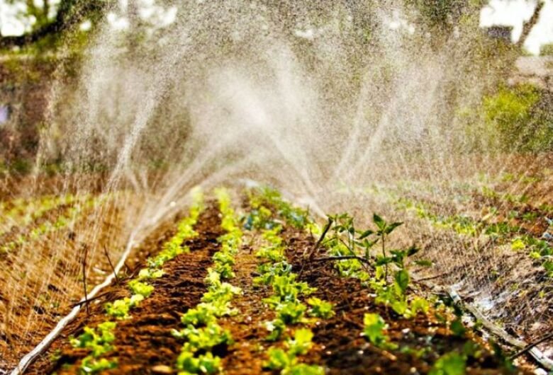 agricultura-familiar-semadesc-7-730x480