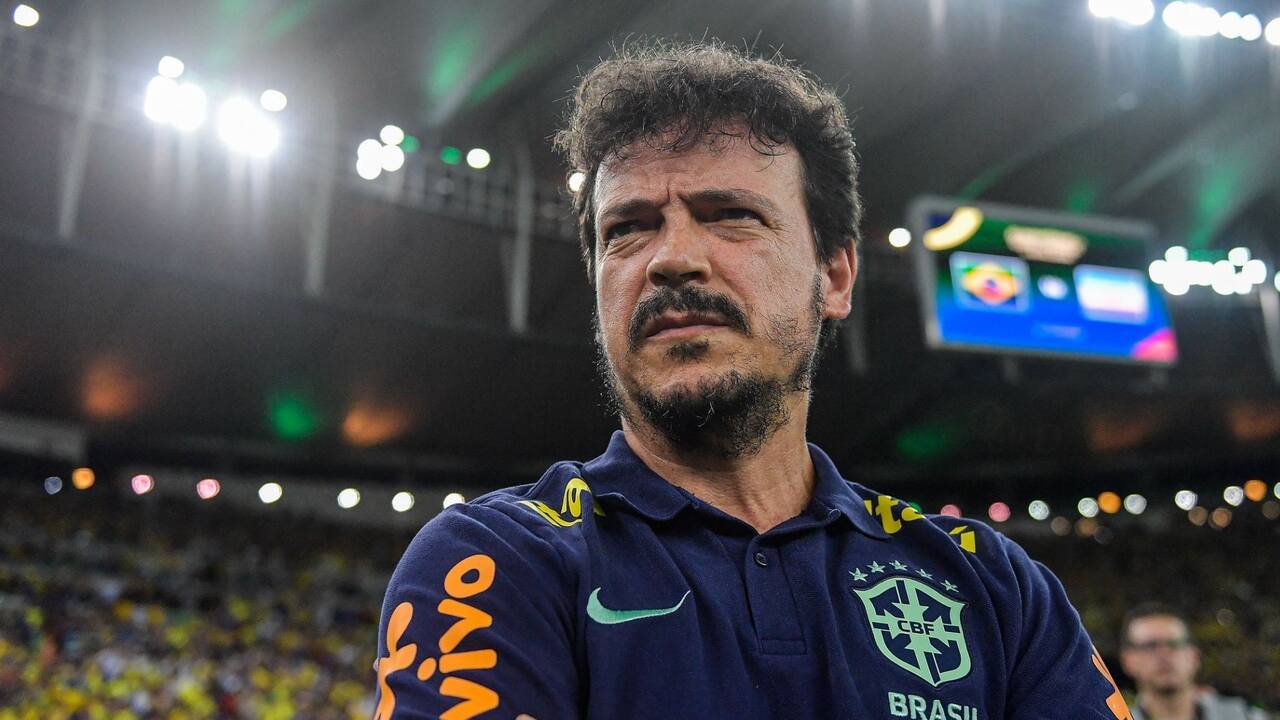 fernando_diniz_cbf