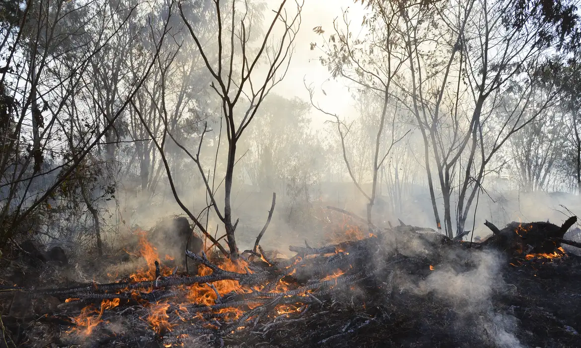 930015-incendio_queimada_5